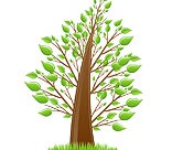 environmentally friendly flooring environmentally friendly flooring