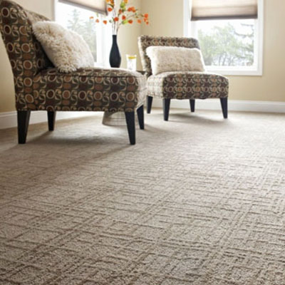 Buy the best carpet you can afford for the heavy traffic areas of your home - halls, stairs, and family rooms. Buy the best carpet you can afford for the heavy traffic areas of your home - halls, stairs, and family rooms.