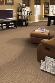 Choice of carpeting can reflect your personal taste and style. Choice of carpeting can reflect your personal taste and style.